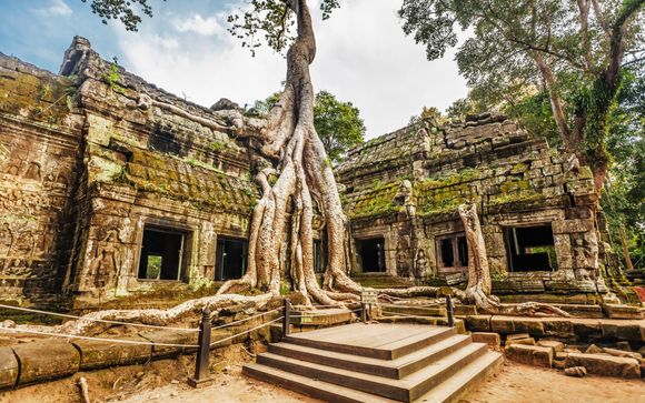 Your Optional Excursions 