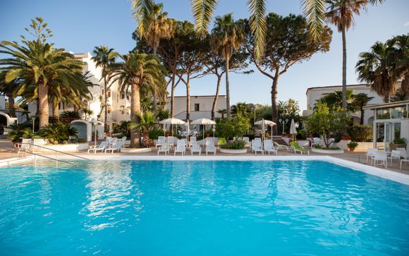 Your hotels