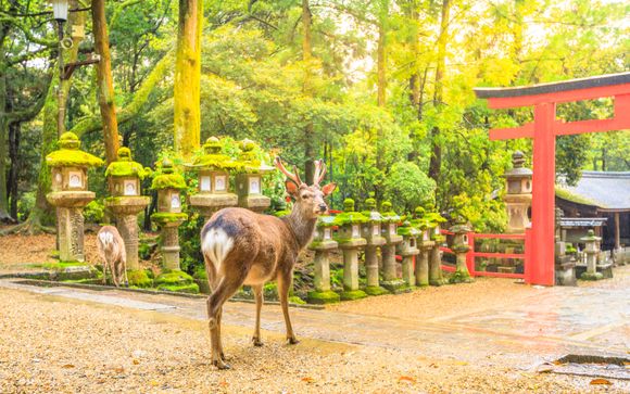 Your itinerary in detail
