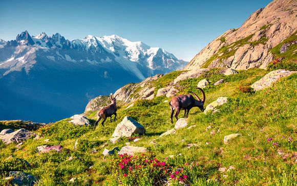 Chamonix Mont Blanc 