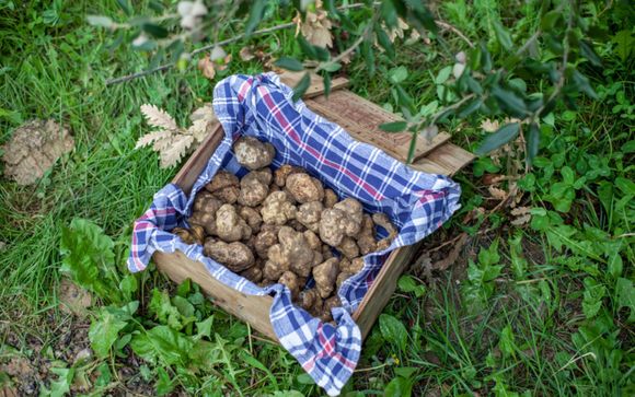 Your Optional Excursions