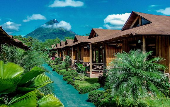 Your hotels