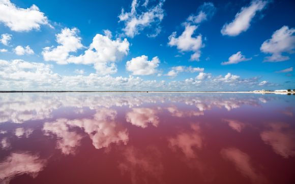 Your optional excursions