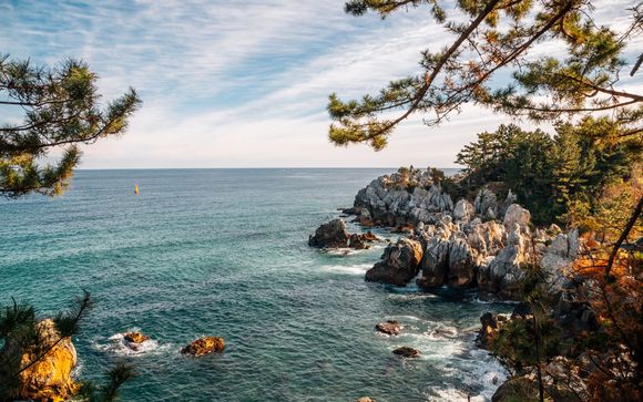 Your itinerary in detail