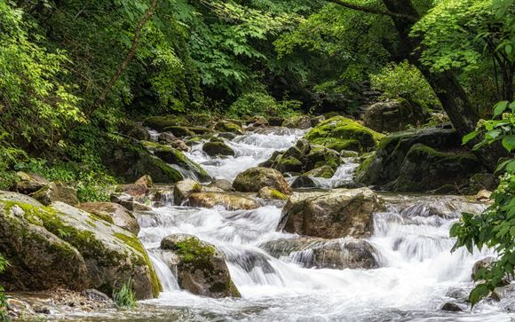 Your itinerary in detail