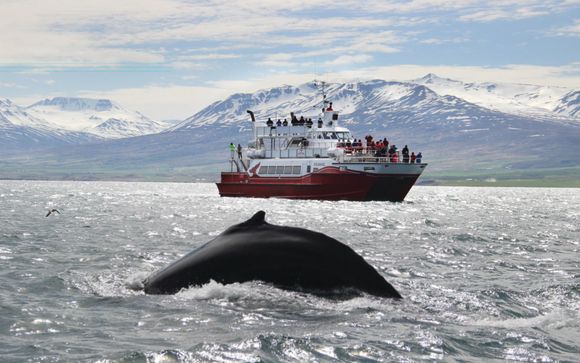 Optional excursions & extras