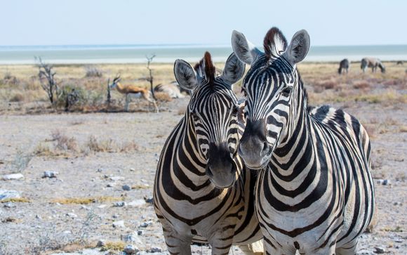 Your Itinerary In Brief