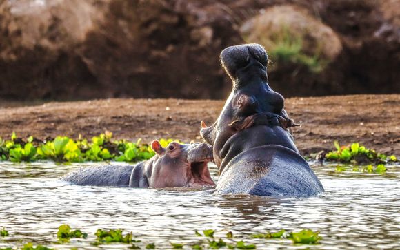 Your itinerary in detail