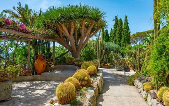 Your itinerary in detail