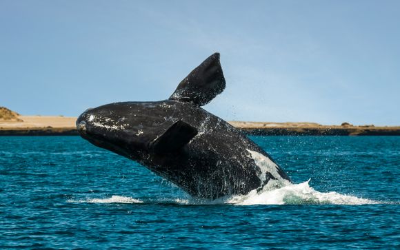 Your itinerary in detail