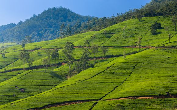 Your itinerary in brief