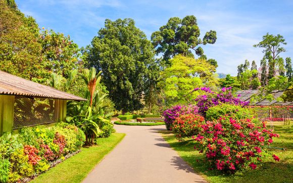 Your itinerary in detail