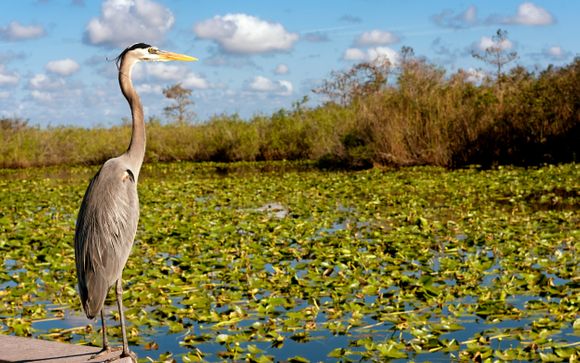 Your included extras and excursions
