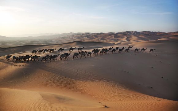 Your itinerary in detail