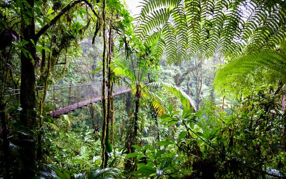 Your itinerary in detail