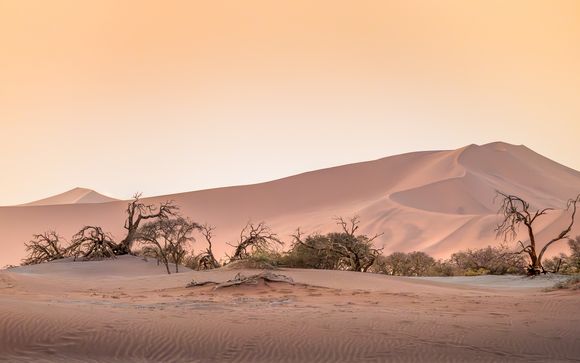 Your itinerary in detail