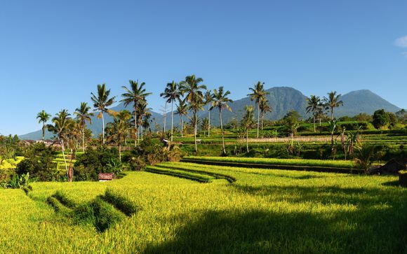 Welcome to Indonesia