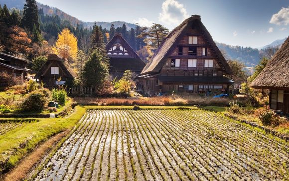 Your itinerary in detail