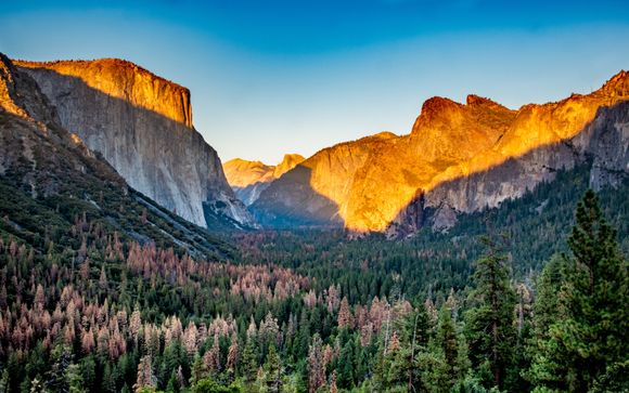 Your itinerary in detail