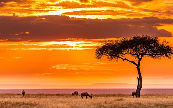 Your itinerary in brief