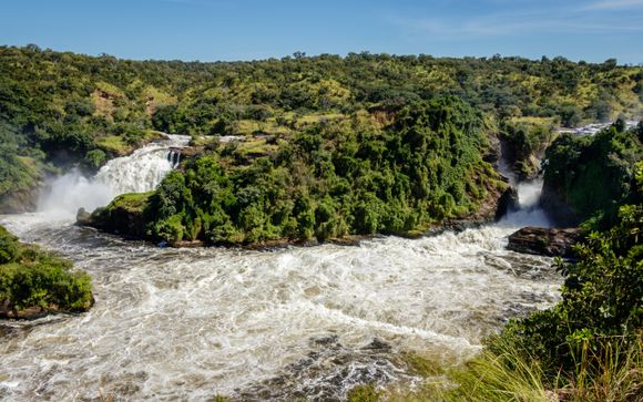 Your itinerary in detail