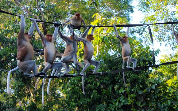 Your itinerary in detail