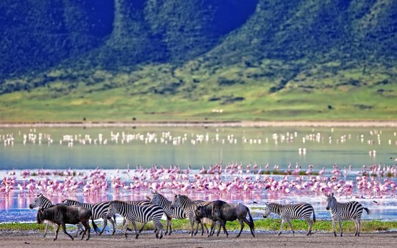 Your itinerary in detail