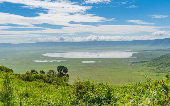 Your itinerary in detail