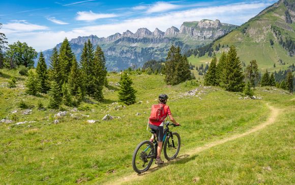 Optional excursions and extras