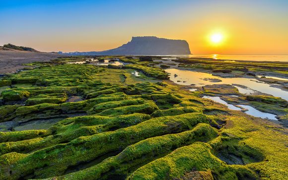 Your itinerary in detail