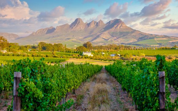 5 night stay: