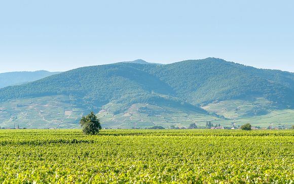 Destination...Alsace