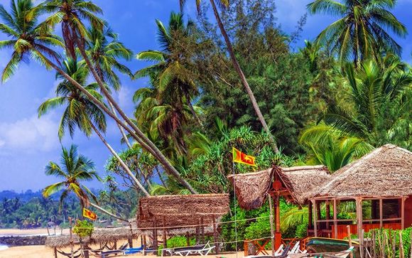 Discover Sri Lanka Tour & Well-being Package