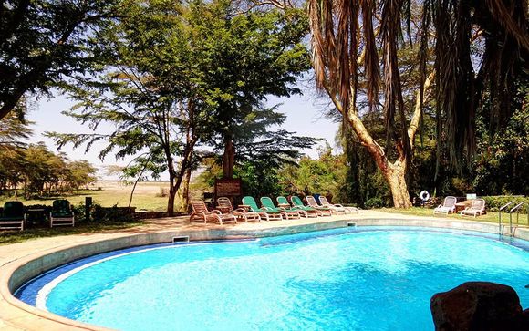 Safari Accommodation