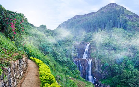 Sri Lanka Tour with Remarkable Nature and Scenery