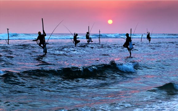 Private Tour of Sri Lanka