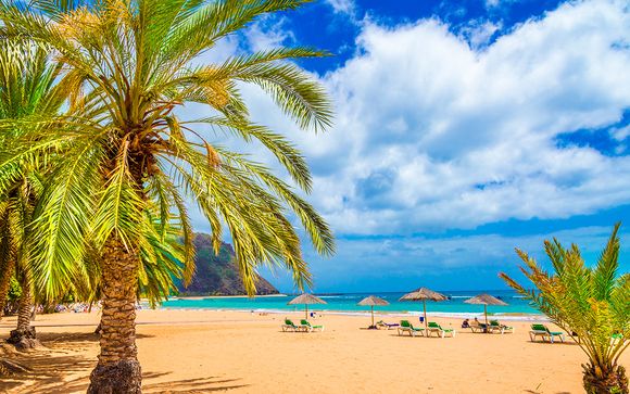 Family-Friendly Resort 100 Metres from the Beach