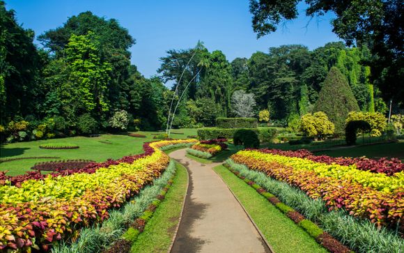 Your 12-Night Itinerary