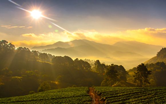 Your Included Excursions