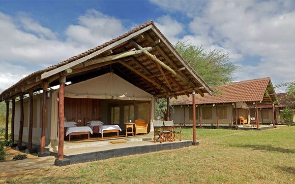 Safari Accommodation