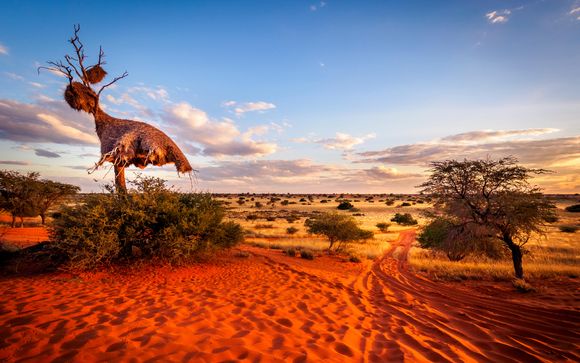 Your 14-Night Itinerary