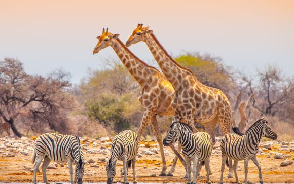 Your 10-Night Itinerary