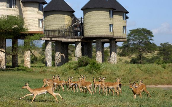 Safari Accommodation