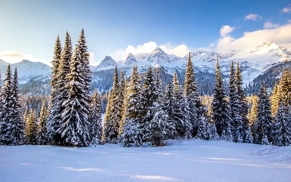 Winter in Montebello