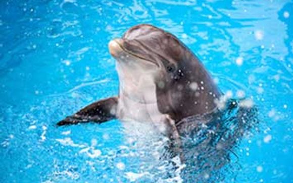 Cape Bay Beach Resort