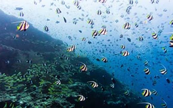 Your Included Excursions