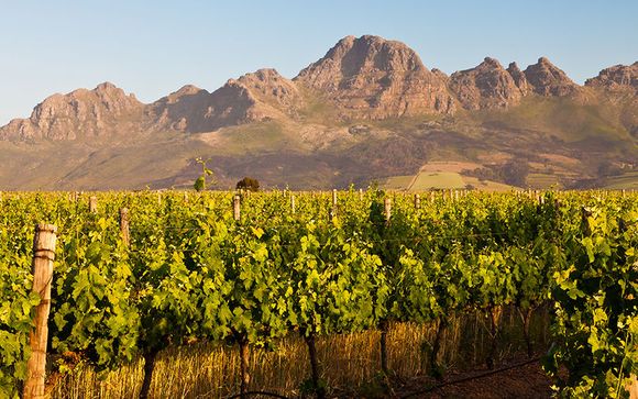 Search for Wildlife through South Africa's Finest