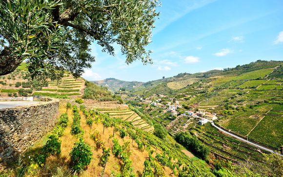 Your Cruise Itinerary