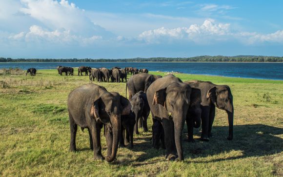 Sri Lankan Tour & Beach Stay