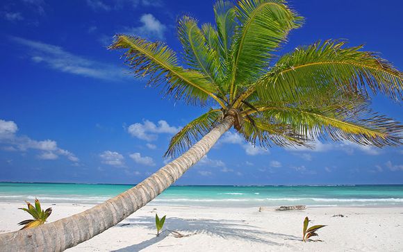 Sublime Stay in Mexico with Optional Big Apple stay